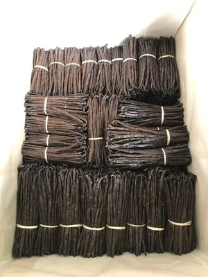 TSARA Vanilla